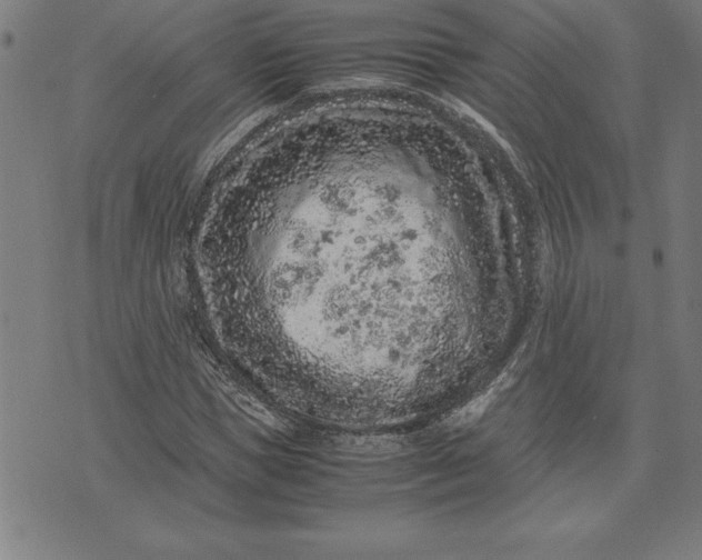 X0000072550921200607281645