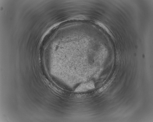 X0000072550923200607281645