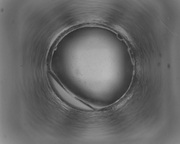 X0000072550924200607281645