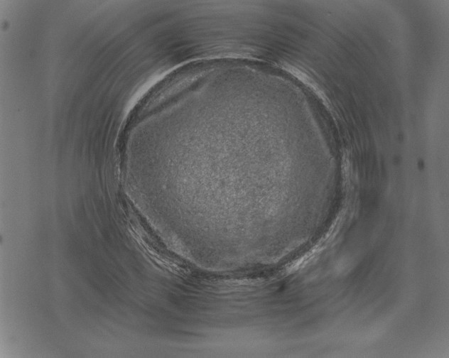 X0000072550925200607281645