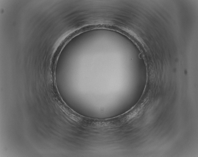 X0000072550927200607281645