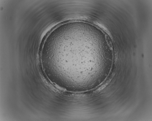 X0000072550928200607281645