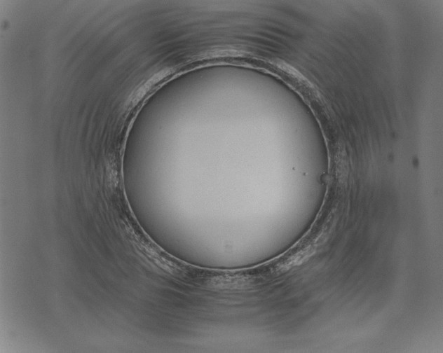 X0000072550929200607281645