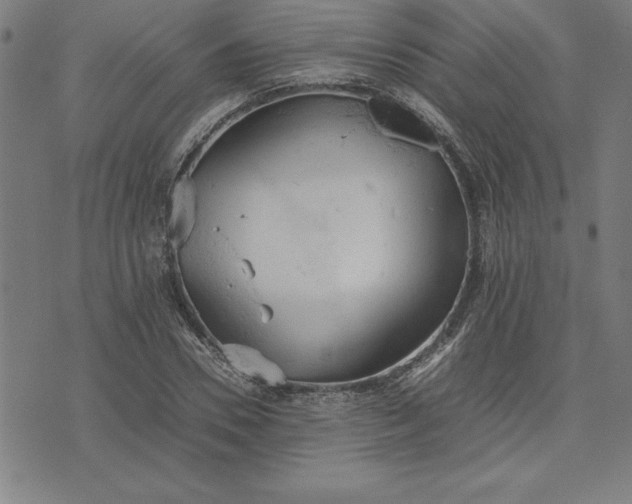 X0000072550930200607281645