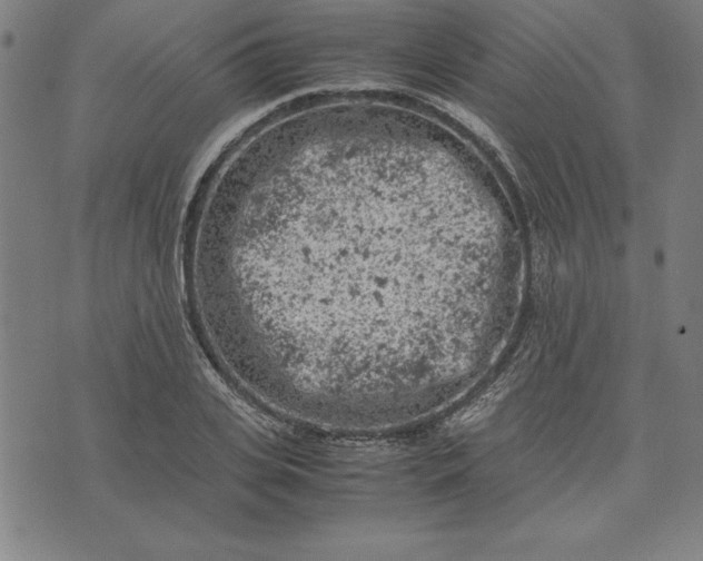 X0000072550935200607281645