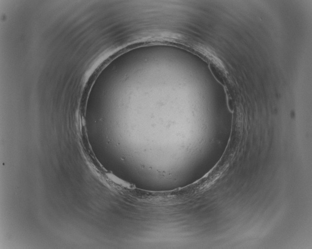 X0000072550936200607281645