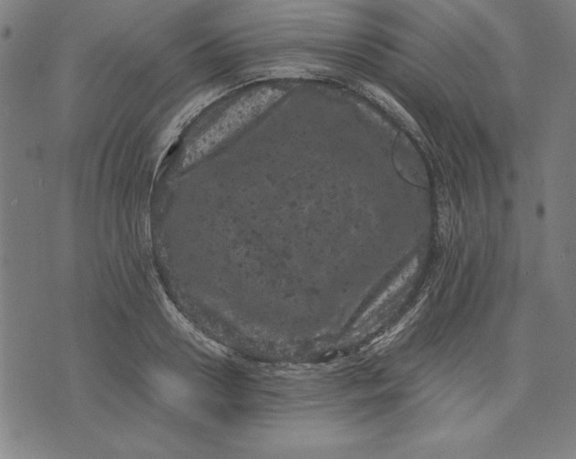 X0000072550938200607281645