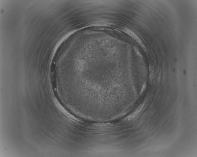 X0000072550939200607281645