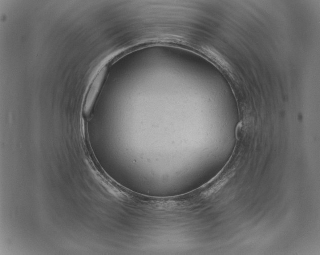 X0000072550940200607281645