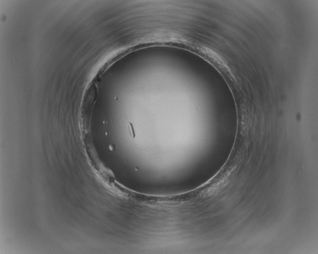 X0000072550942200607281645