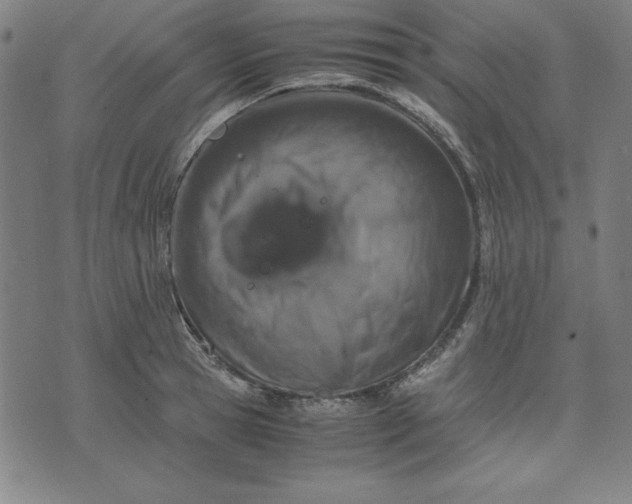 X0000072550945200607281645