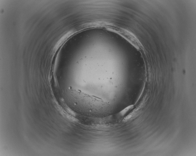 X0000072550946200607281645