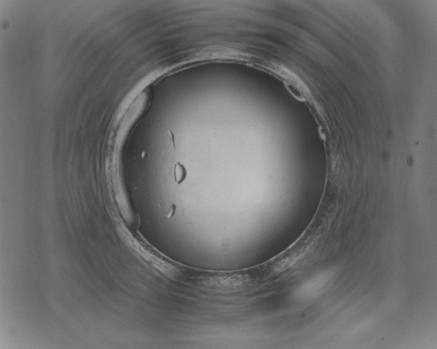 X0000072550947200607281645