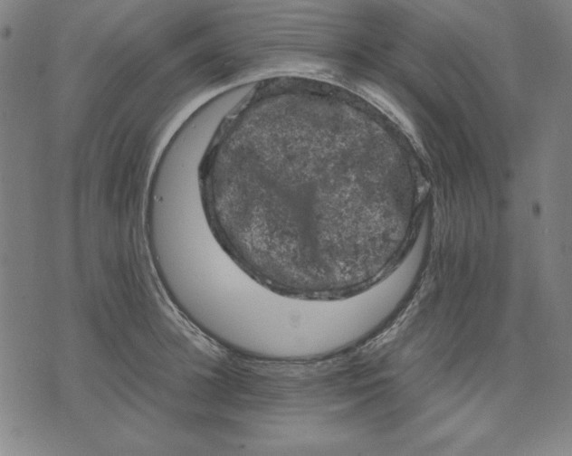 X0000072550948200607281645