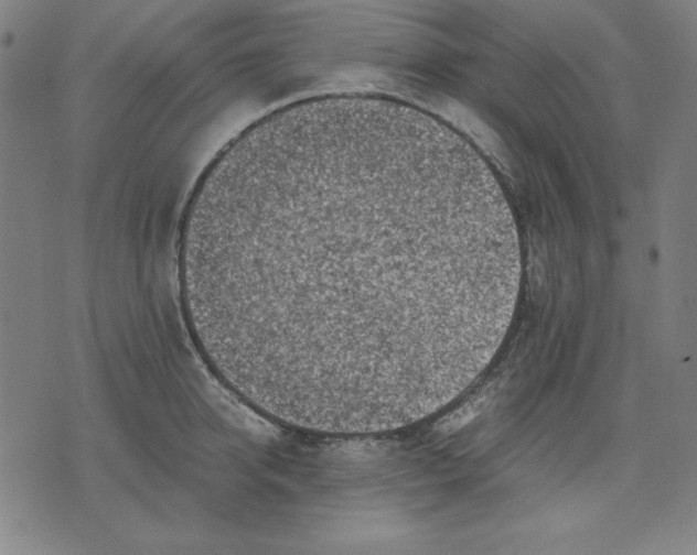 X0000072550950200607281645