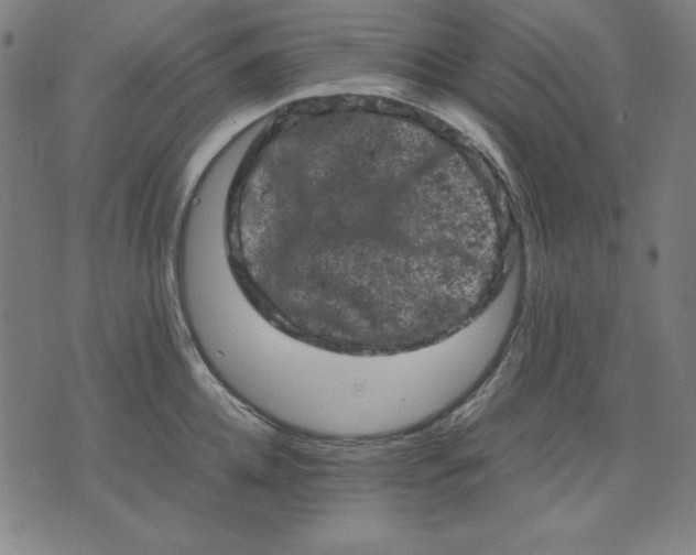 X0000072550952200607281645