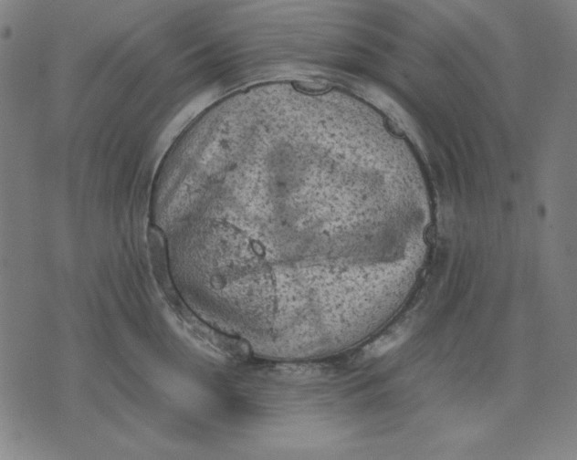 X0000072550954200607281645