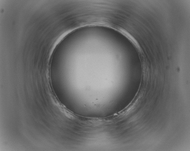 X0000072550956200607281645