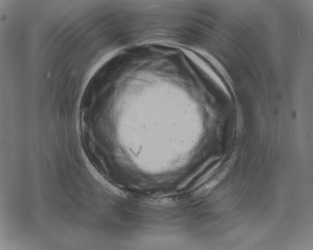 X0000072550957200607281645