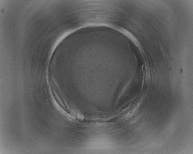 X0000072550958200607281645