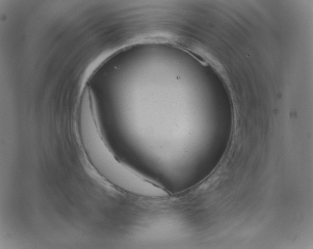 X0000072550960200607281645