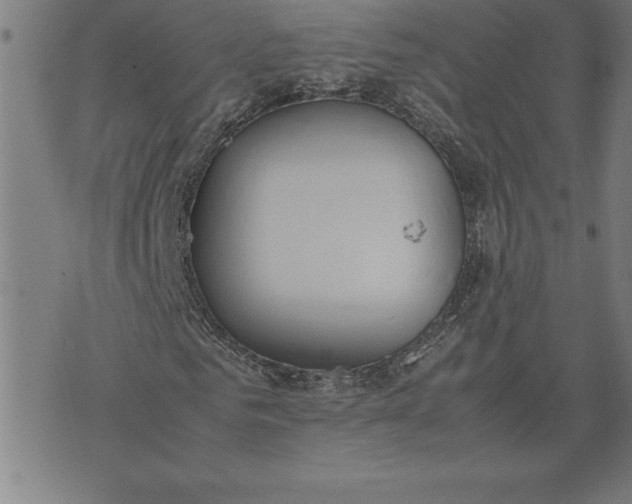 X0000072550961200607281645