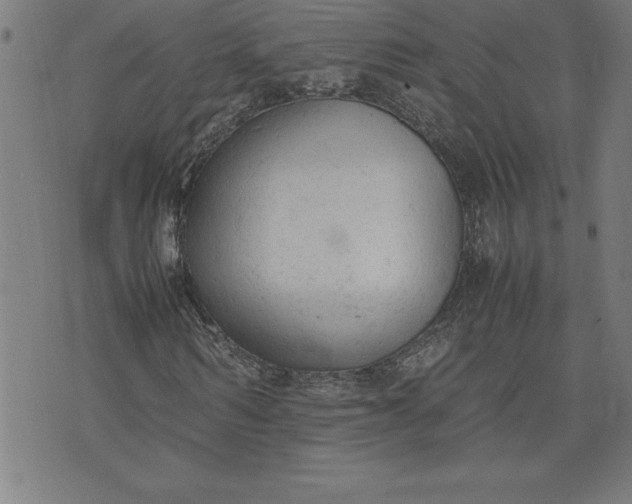 X0000072550962200607281645