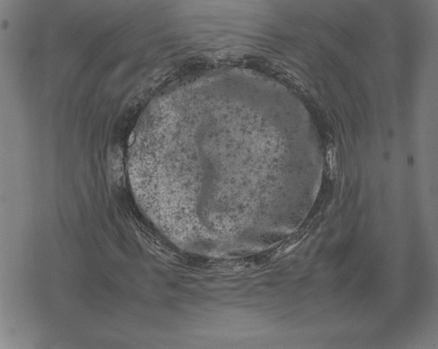 X0000072550963200607281645