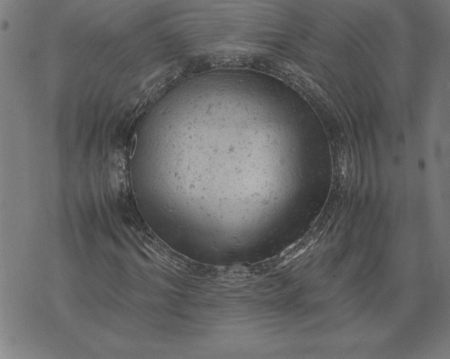 X0000072550964200607281645