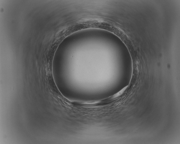 X0000072550965200607281644