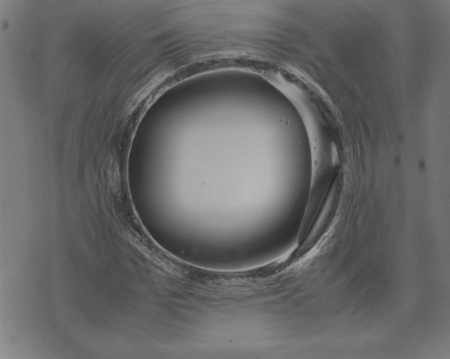 X0000072550969200607281644