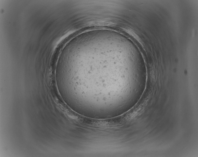 X0000072550971200607281644