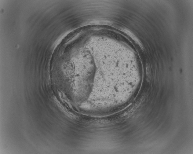 X0000072550972200607281644