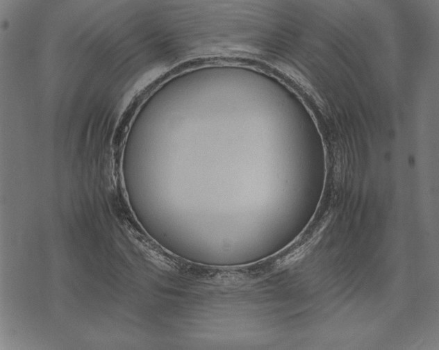 X0000072550974200607281644