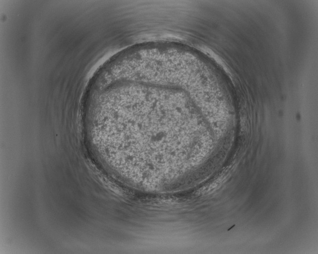 X0000072550975200607281644