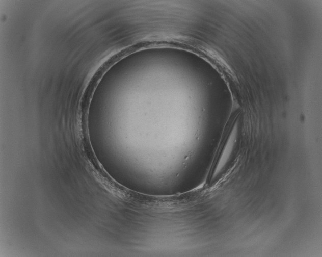 X0000072550976200607281644