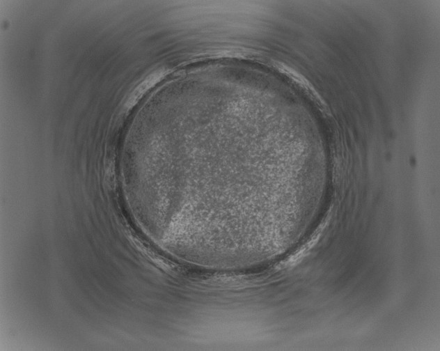 X0000072550977200607281644