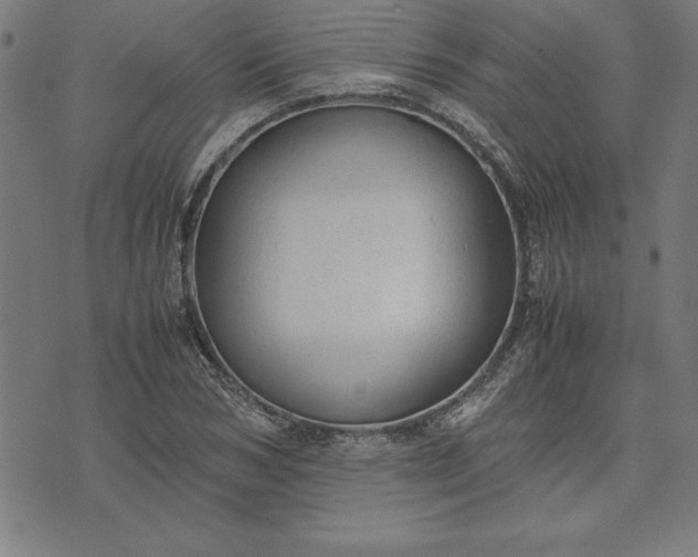 X0000072550978200607281644