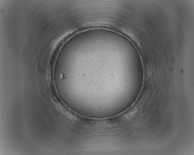 X0000072550979200607281644