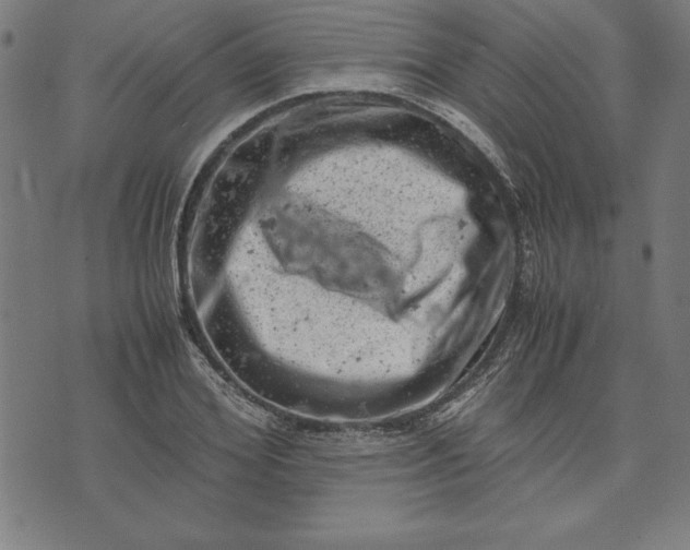 X0000072550980200607281644