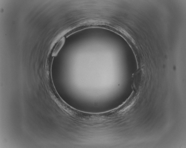 X0000072550981200607281644