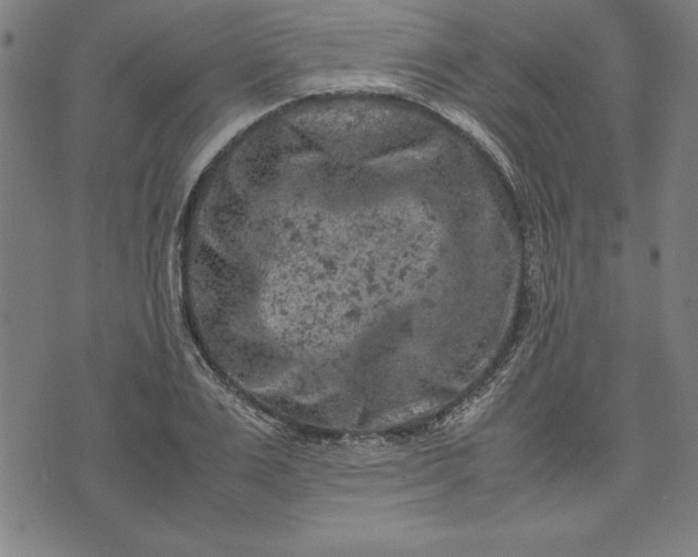 X0000072550983200607281644