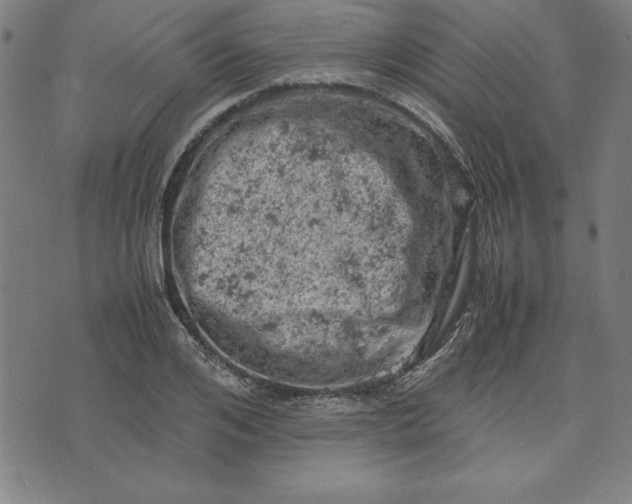 X0000072550984200607281644