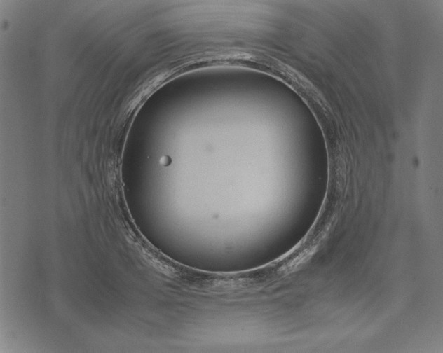 X0000072550985200607281644