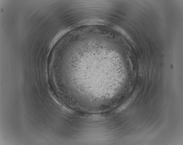 X0000072550986200607281644