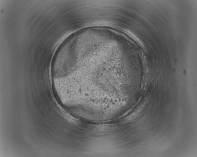 X0000072550988200607281644