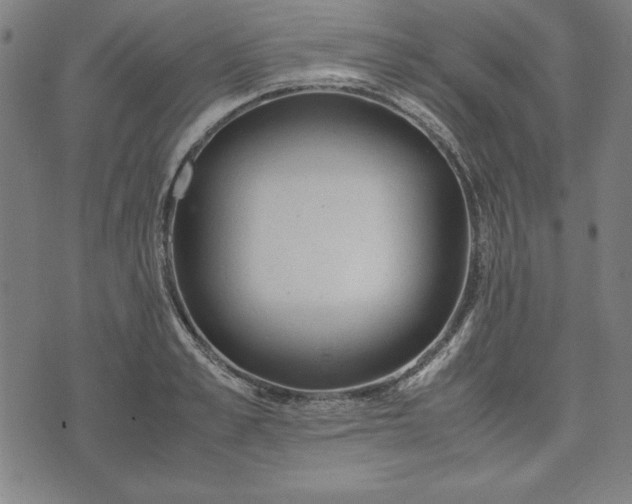 X0000072550989200607281644