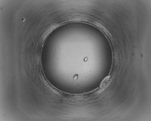 X0000072550993200607281644