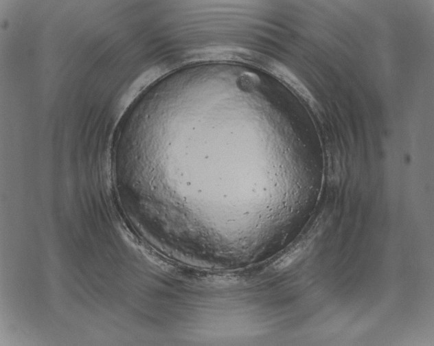 X0000072550994200607281644