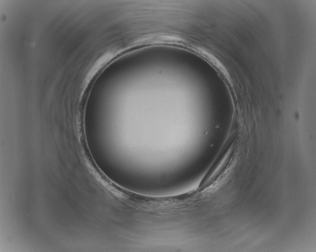 X0000072550997200607281644